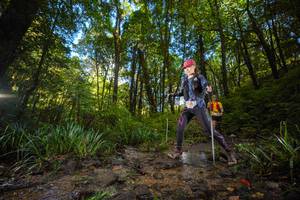 BIB: 
                            <button type="button" onclick="openModal(19229901)" class="btn btn-primary btn-sm float-right btn-popup" data-toggle="modal" data-target=".modal-high-quality">
                        <i class="fas fa-shopping-cart"></i> Add to Cart
                    </button>
                                            <button type="button" onclick="isThisMe(19229901, true)" class="btn btn-success btn-sm float-right btn-popup btn-isme hidden" data-toggle="tooltip" data-placement="bottom" title="นี่คือรูปของคุณใช่ไหม คลิกที่นี่เพื่อเอาเข้าอัลบั้ม">
                        <i class="fas fa-plus"></i> Add to album
                    </button>
                    <button type="button" onclick="isThisMe(19229901, false)" class="btn btn-warning btn-sm float-right btn-popup btn-isnotme hidden">
                        <i class="fas fa-ban"></i> Remove from album
                    </button>